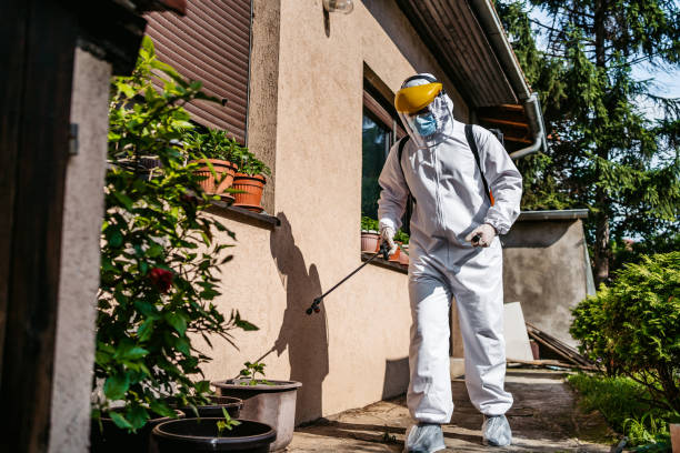 Best Rodent Control Near Me  in Manistee, MI