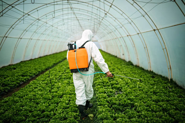 Best Mosquito Control Services  in Manistee, MI