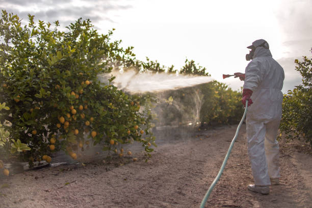Best Best Pest Control Companies  in Manistee, MI