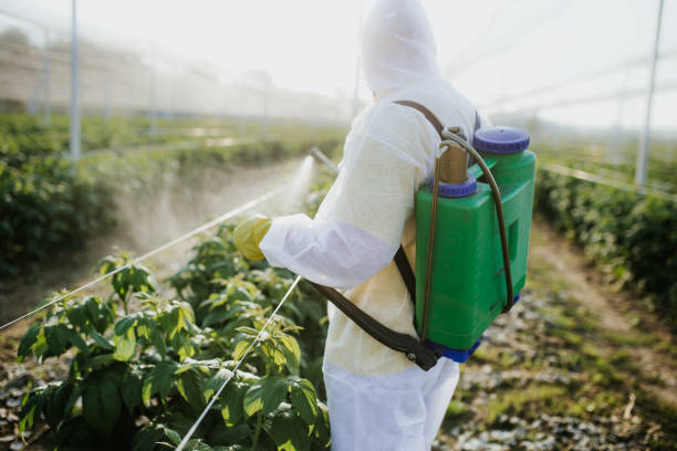 Best Flea Control Services  in Manistee, MI